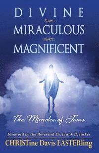 bokomslag Divine Miraculous Magnificent: The Miracles of Jesus