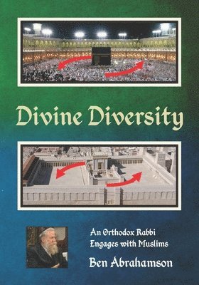 bokomslag Divine Diversity