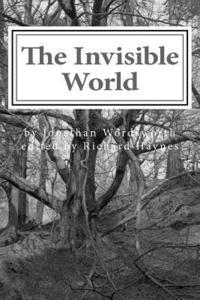 bokomslag The Invisible World: Lectures on British Romantic Poetry and the Romantic Imagination