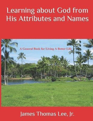 bokomslag Learning about God from His Attributes and Names