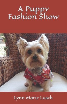 A Puppy Fashion Show 1