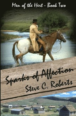 bokomslag Sparks of Affection: Men of the Heart - Book Two