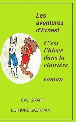 bokomslag Les aventures d'Ernest: C'est l'hiver dans la clairière