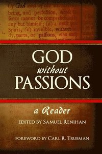 bokomslag God Without Passions