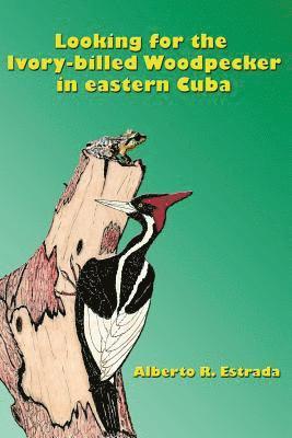 bokomslag Looking for the Ivory-billed-Woodpecker in eastern Cuba