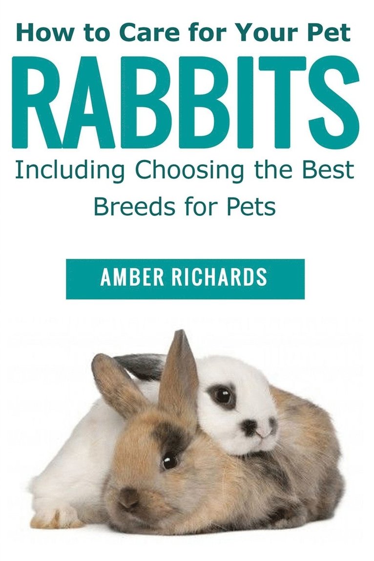 Amber Richards - How to Care for Your Pet Rabbits, Häftad