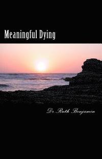 bokomslag Meaningful Dying