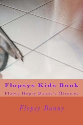 bokomslag Flopsys Kids Book: Flopsy Hopsy Bunny's miracles