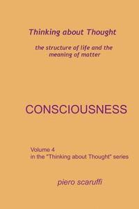 bokomslag Thinking about Thought 4 - Consciousness