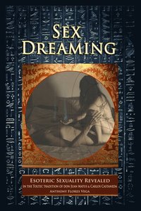 bokomslag Sex Dreaming