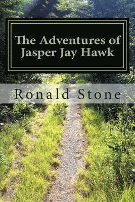 Gavin D. Stone - The Adventures of Jasper Jay Hawk: Chicken in the basket - All the time, Häftad