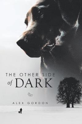 The Other Side of Dark 1