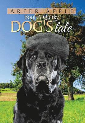 Boof A Quirky Dog's Tale 1