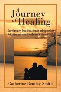 bokomslag Journey of Healing