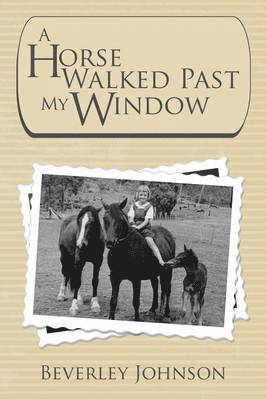 Horse Walked Past My Window 1