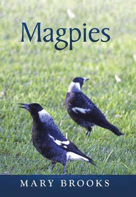 bokomslag Magpies