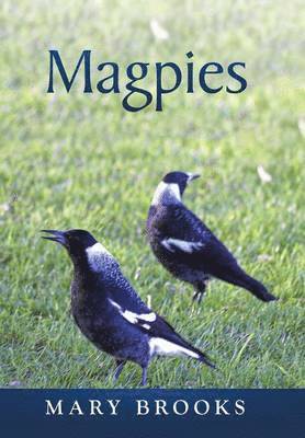 Magpies 1