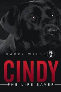 bokomslag &quot;Cindy