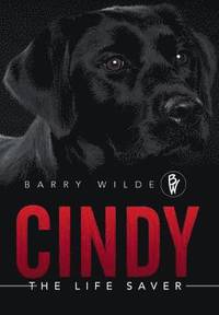 bokomslag Cindy