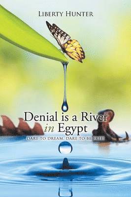 bokomslag Denial is a River In Egypt