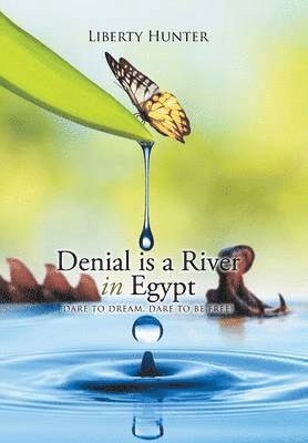 bokomslag Denial is a River In Egypt