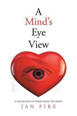 bokomslag Mind's EyeView