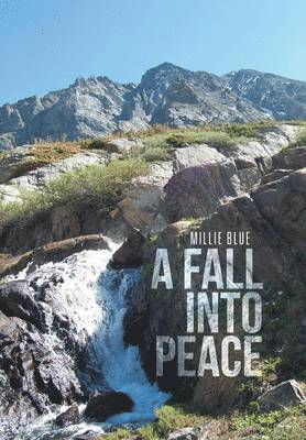 bokomslag Fall Into Peace