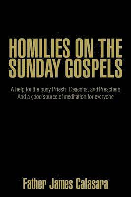 bokomslag Homilies on the Sunday Gospels