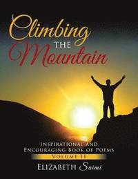 bokomslag Climbing the Mountain