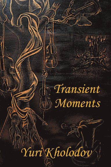 bokomslag Transient Moments