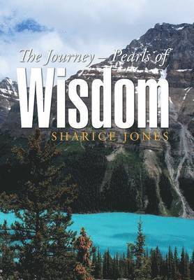 bokomslag The Journey - Pearls of Wisdom