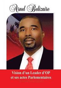 bokomslag Vision d'un Leader d'OP et ses actes Parlementaires