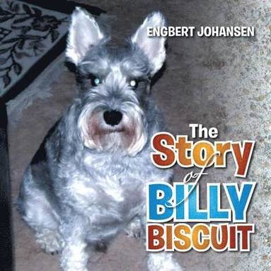bokomslag Story of Billy Biscuit