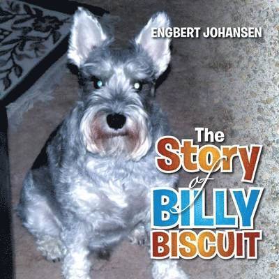 Engbert Johansen - Story of Billy Biscuit, Häftad