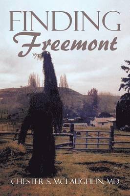 bokomslag Finding Freemont