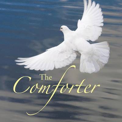 The Comforter 1