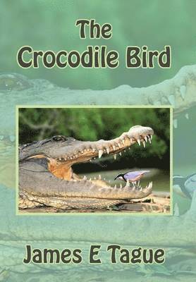 Crocodile Bird