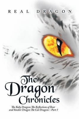 bokomslag The Dragon Chronicles