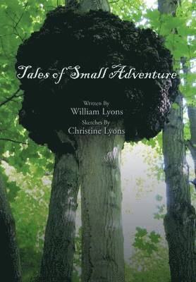 William Lyons - Tales of Small Adventure, Inbunden
