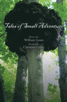 William Lyons - Tales of Small Adventure, Häftad