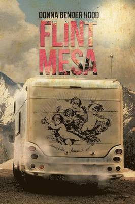 bokomslag Flint Mesa