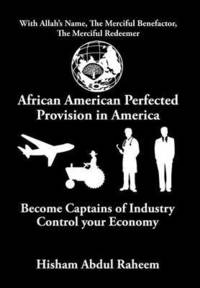 bokomslag African American Perfected Provision in America