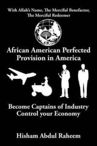 bokomslag African American Perfected Provision in America