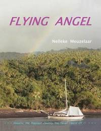 bokomslag Flying Angel