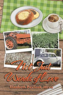 Elizabeth Pavlicek Jarvis - Not Just Words of Love, Häftad