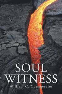 bokomslag Soul Witness