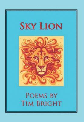 Sky Lion 1