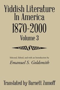 bokomslag Yiddish Literature In America 1870-2000