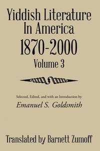 bokomslag Yiddish Literature In America 1870-2000
