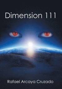 bokomslag Dimension 111